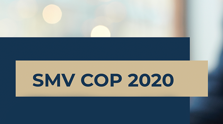 SMV COP Publikation: De bedste rapporter fra 2020